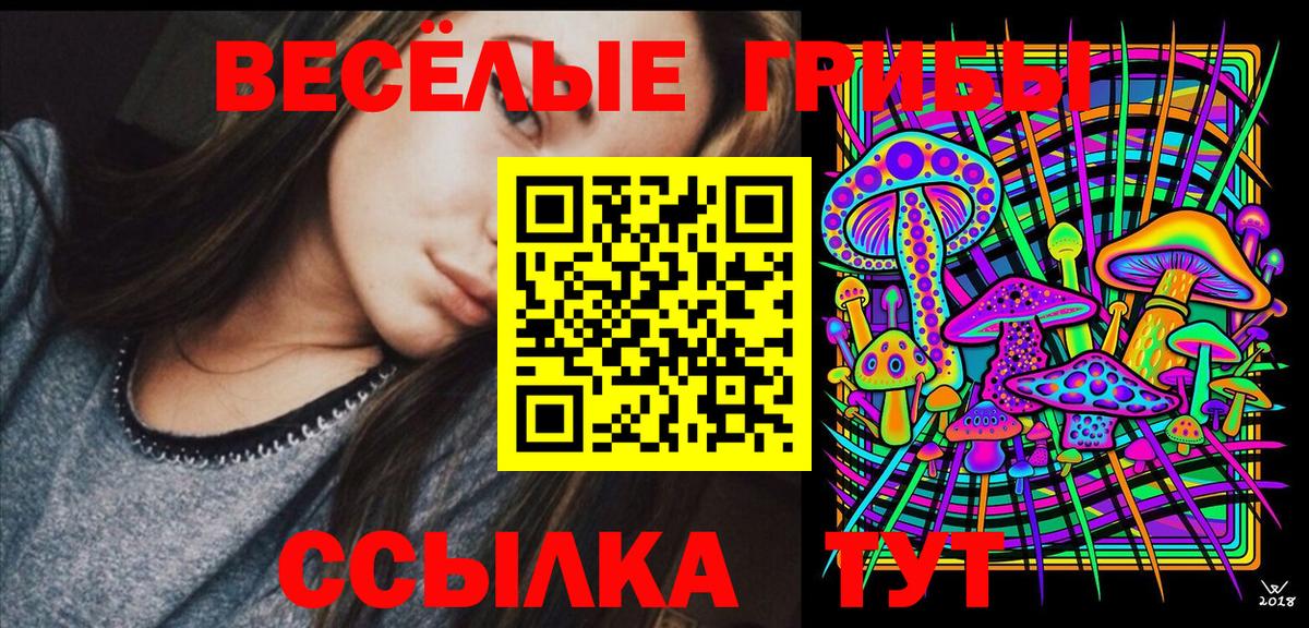 Галлюциногенные грибы Psilocybine cubensis Екатеринбург